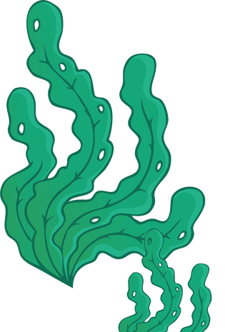 卡通手绘海带png元素