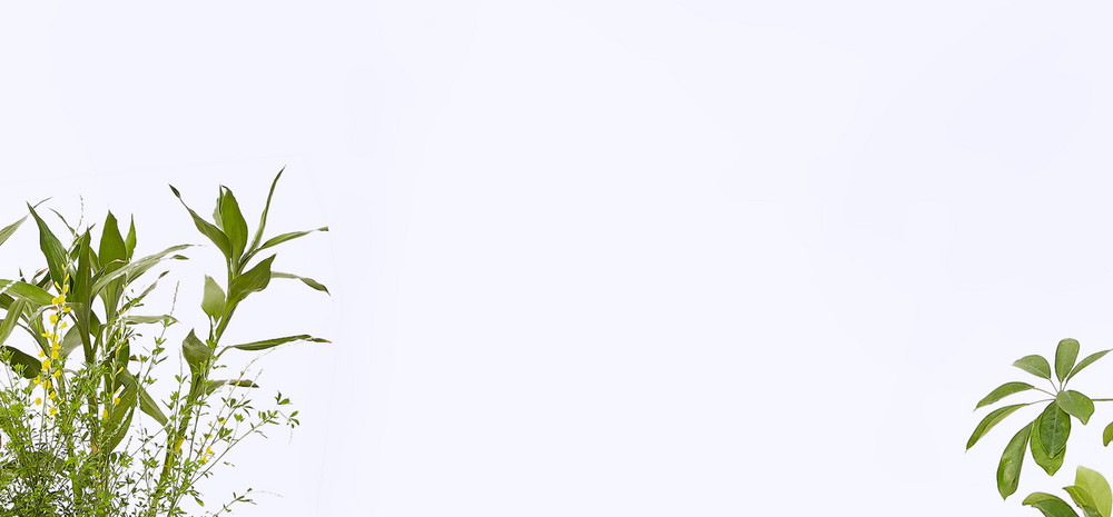 时尚纯色小清新植物花朵精品女装海报背景图