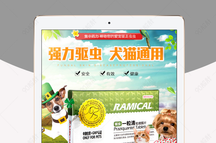 阳光宠物护理用品详情页PSD模板