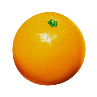 黄色橙子免扣pngpngpsd2000*2000夏季生鲜水果橘子橙子水果树枝png