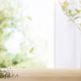 唯美清新简约家居主图背景