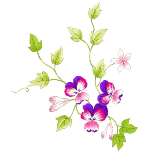 手绘卡通花图片大全