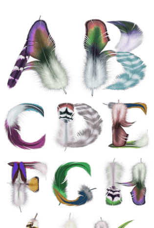 羽毛字母图片大全