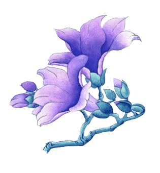 手绘紫罗兰花