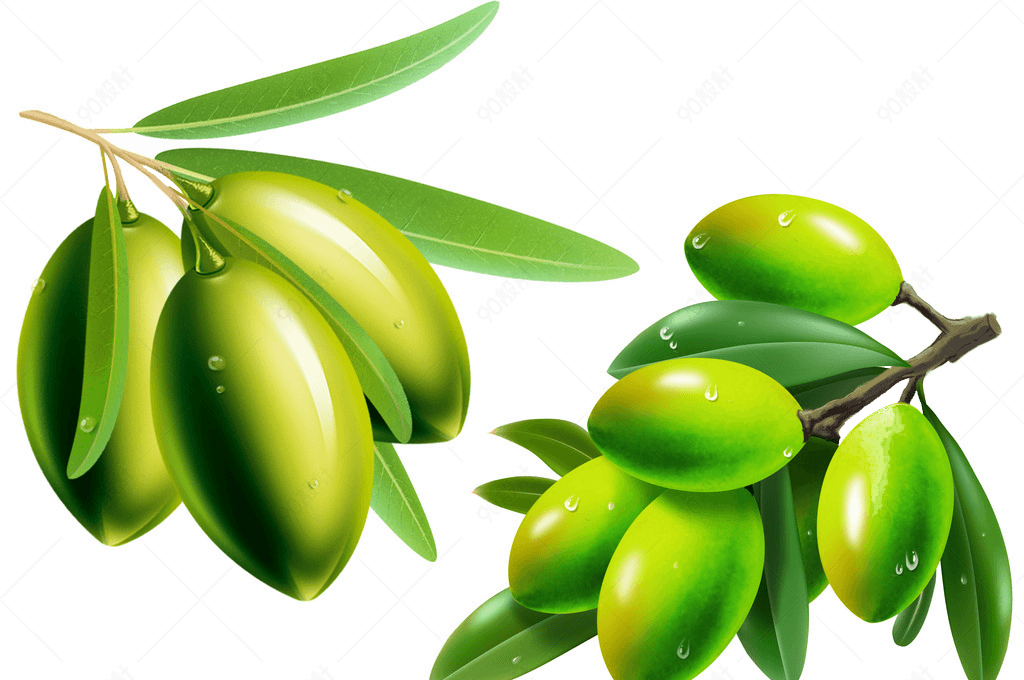 绿色橄榄果