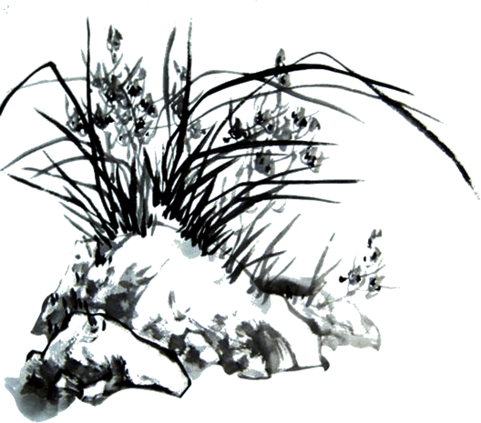 竹子水墨画pngpsd2000*2000中国风兰花水墨画pngpsd2000*2000奇石头