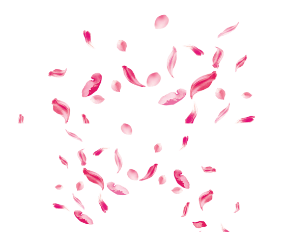 手绘花瓣图片大全