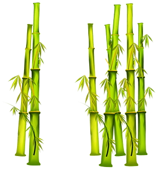 pngpsd2000*2000五彩竹子pngpsd2000*200090设计为您提供竹竿图片素材
