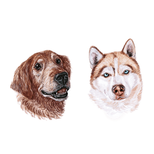 可爱狗头图片大全_可爱狗头图片素材【png免费下载】-90设计网