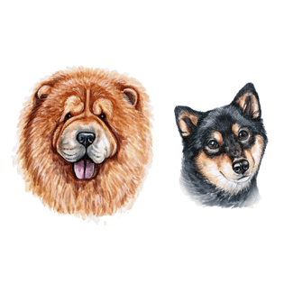 可爱狗头图片大全