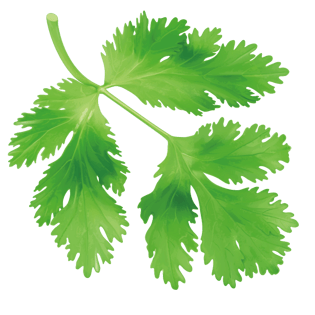 菜叶卡通图片大全