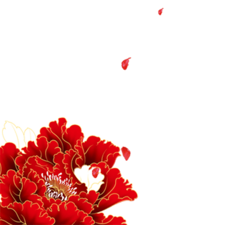 中国风红色牡丹花