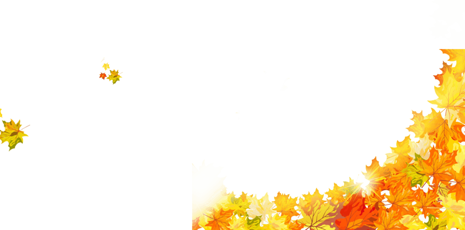 枫叶背景图片大全 枫叶背景图片素材 Png免费下载 90设计网