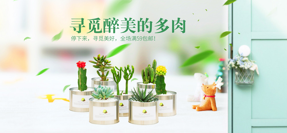 清新唯美日常促销多肉植物全屏海报