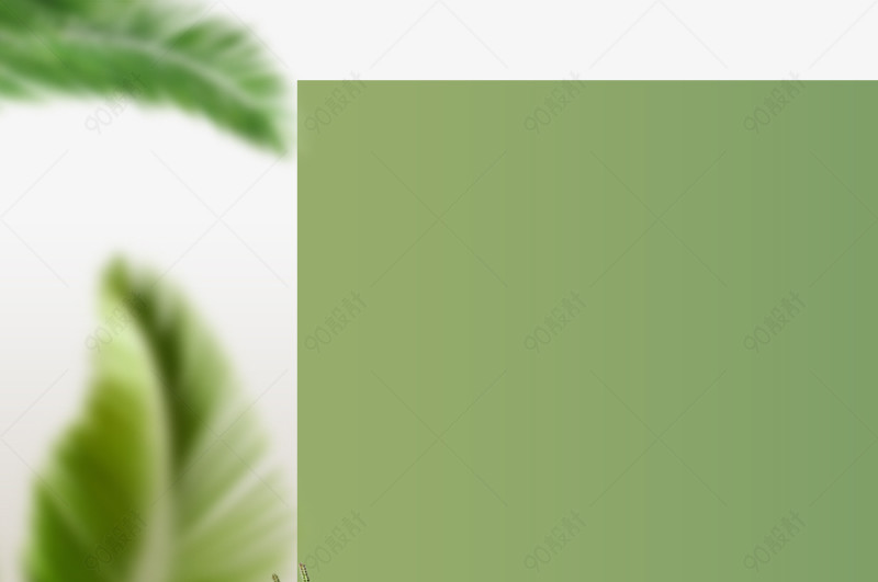 ins风果绿色女装主图详情页背景