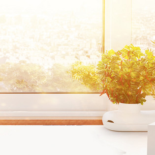初秋黄色系列窗台摆件主图详情页背景