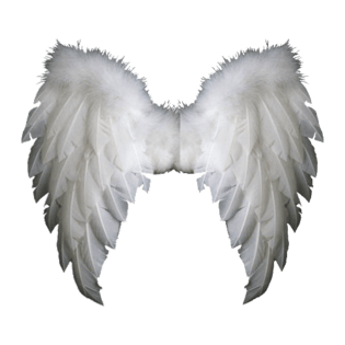 白色天使翅膀