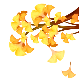 银杏树房子装饰元素