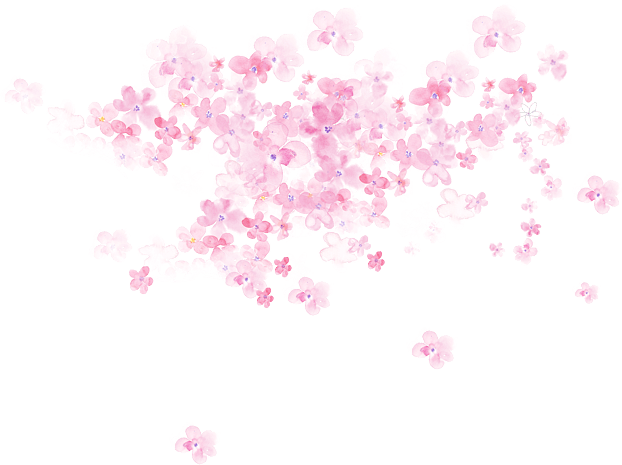 春天花卉粉色图片大全