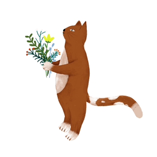 猫可通动物植物花黄猫插画png免抠