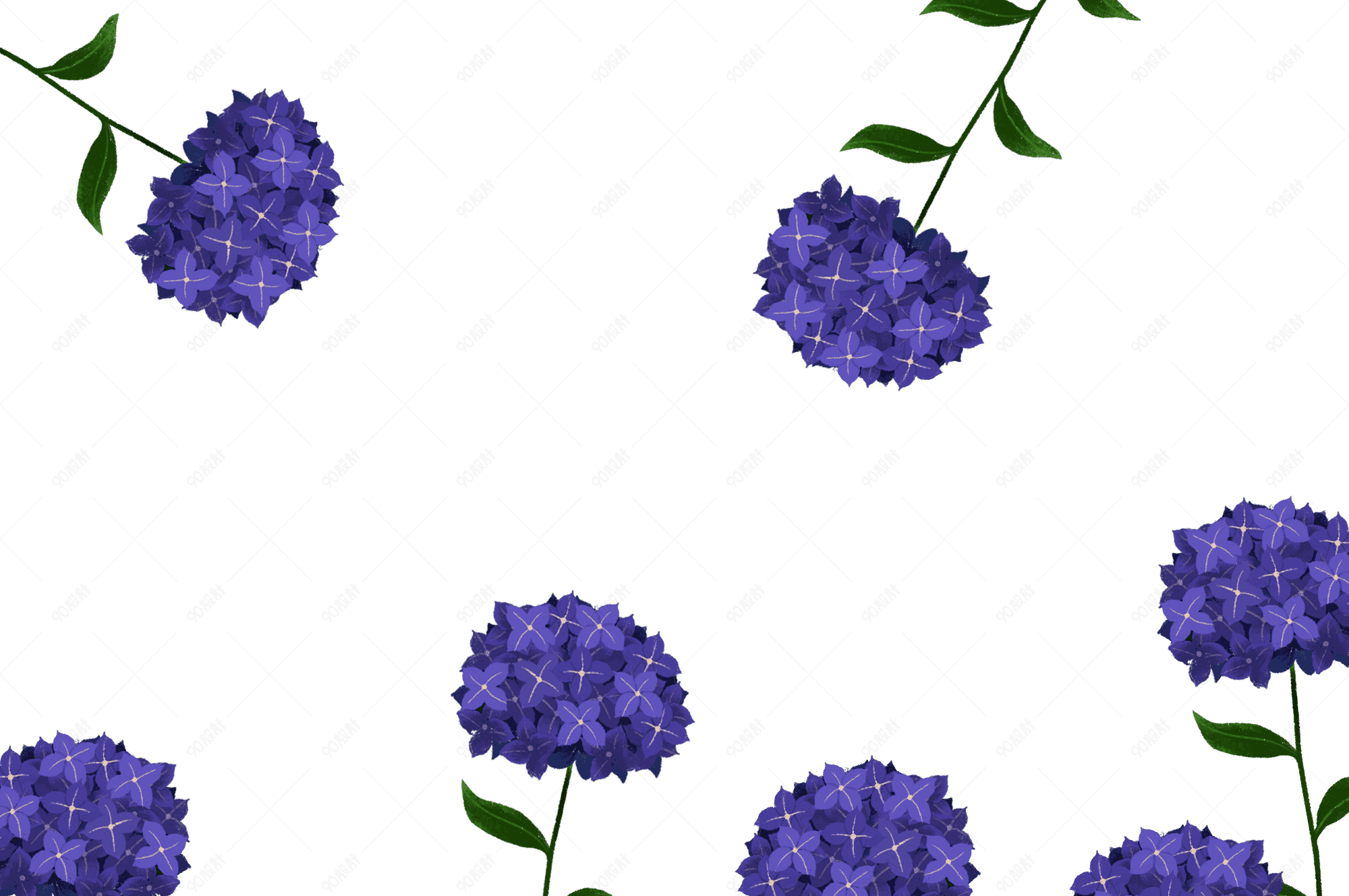 夏紫色绣球花手绘插画png免抠