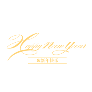 happy new year  新年快乐