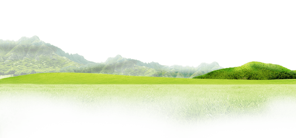 山坡pngpsd2000*2000春季大促标签设计pngpsd2000*2000花卉装饰背景