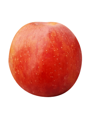 苹果实物图片大全