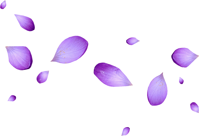 紫色花瓣png
