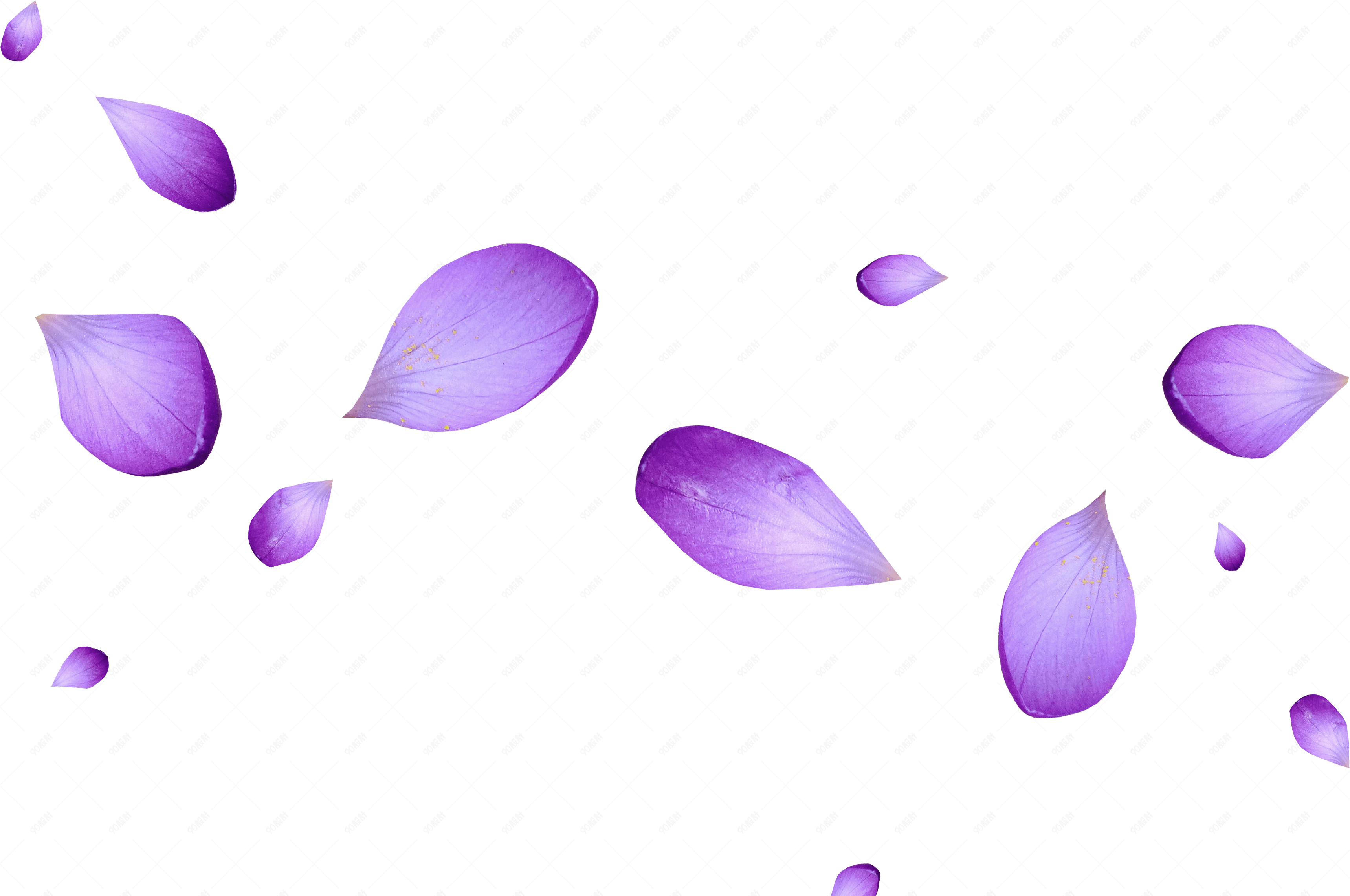 壁纸 紫色的花瓣特写，花微距摄影 2560x1600 HD 高清壁纸, 图片, 照片