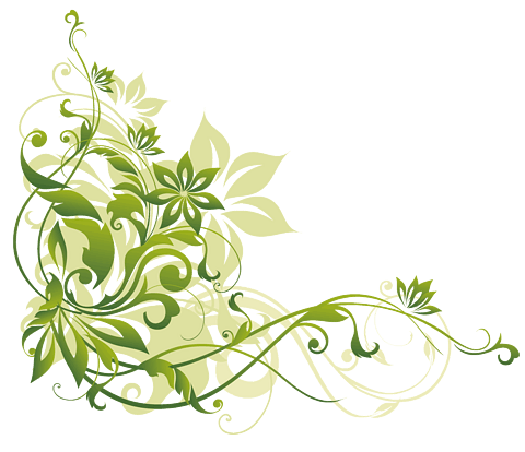 藤蔓花卉图片大全