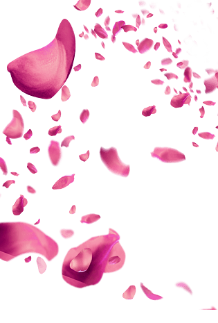 玫瑰花瓣png图片大全_玫瑰花瓣png图片素材【png免费下载】-90设计网