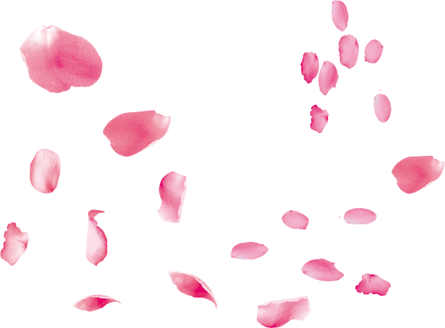 玫瑰花瓣png图片大全