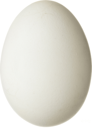 白色鸡蛋图片大全