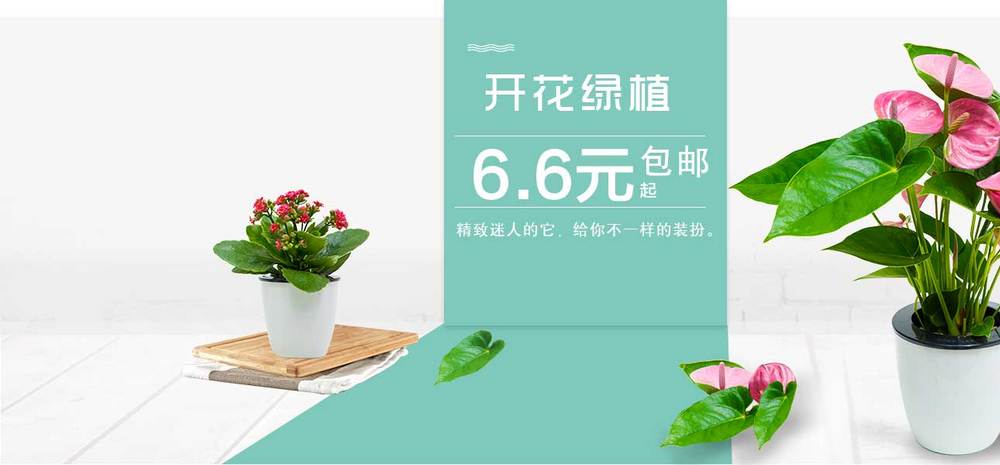 简约时尚盆景绿植日常促销全屏海报
