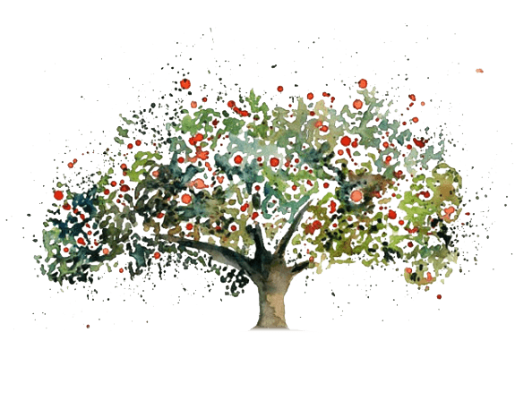 爱情树图片大全