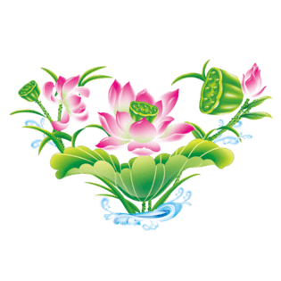 彩绘荷花图片大全