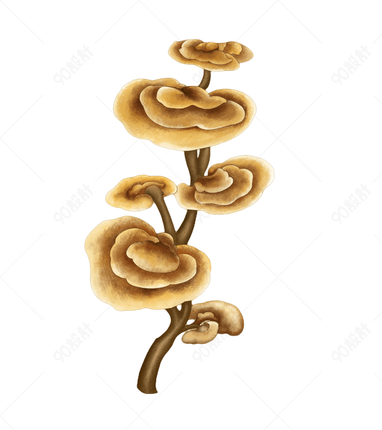 灵芝装饰画