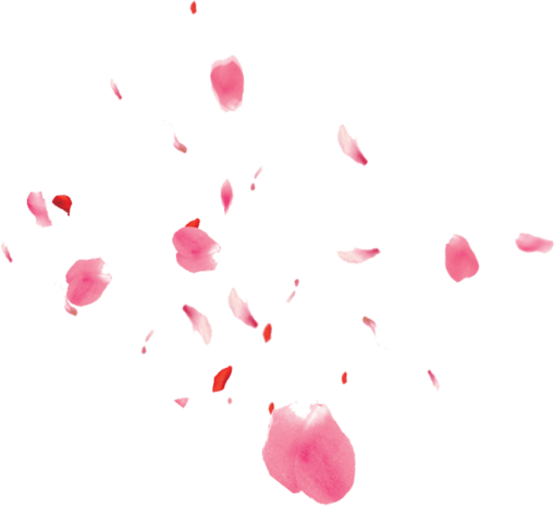 美丽樱花图片大全_美丽樱花图片素材【png免费下载】-90设计网