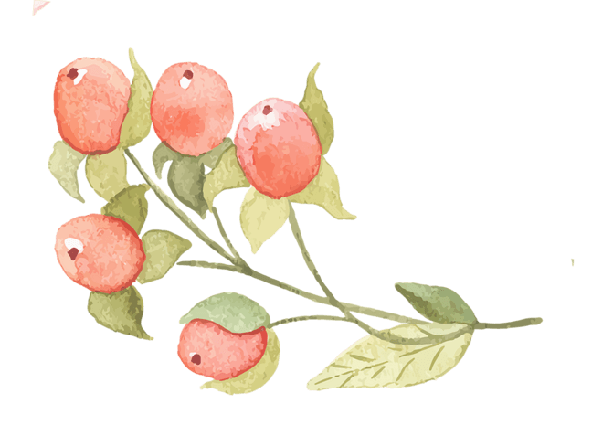 果子手绘图片大全