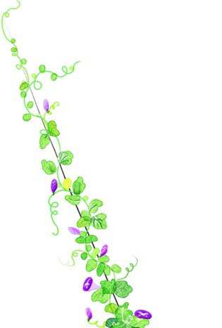 手绘植物花藤装饰素材