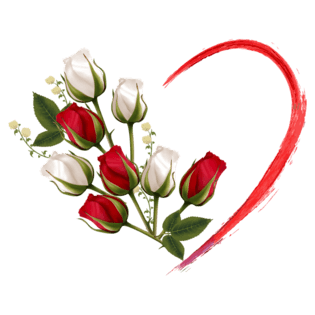 玫瑰花爱心装饰