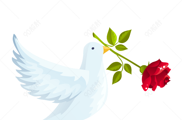 叼着玫瑰花的鸽子