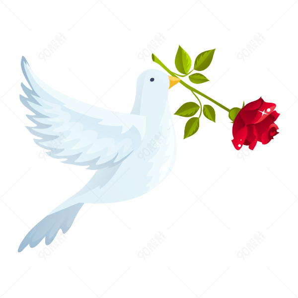 叼着玫瑰花的鸽子