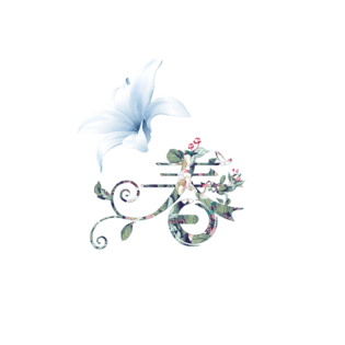 春季上新图片大全