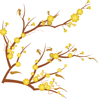 灯笼腊梅图片大全