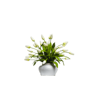 室内花盆图片大全 室内花盆图片素材 Png免费下载 90设计网