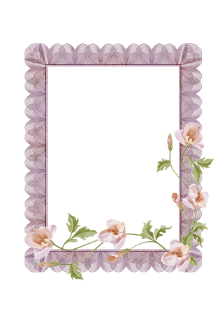 边框细图片大全