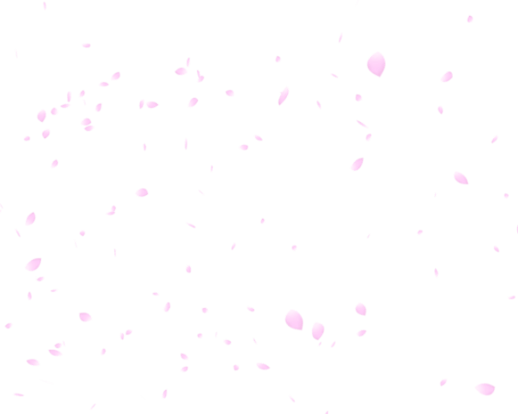 花瓣免扣图片大全