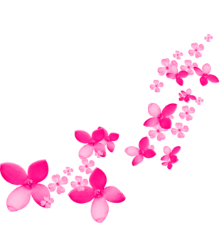 粉红色四瓣花漂浮素材